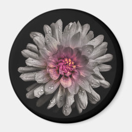 裏庭の花91色版 マグネット