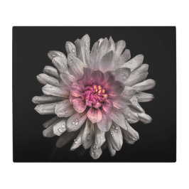 裏庭の花91色版 メタルプリント