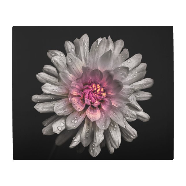 裏庭の花91色版 メタルプリント (正面)