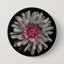 裏庭の花91色版