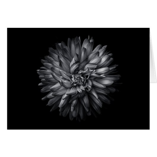 裏庭の花（白黒） 20 (正面横)