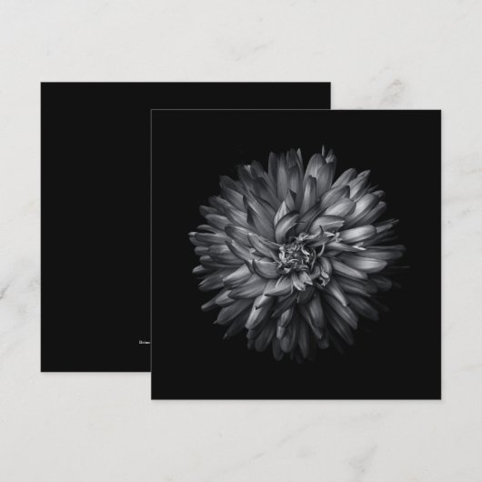 裏庭の花(白黒) 20 (正面/裏面)