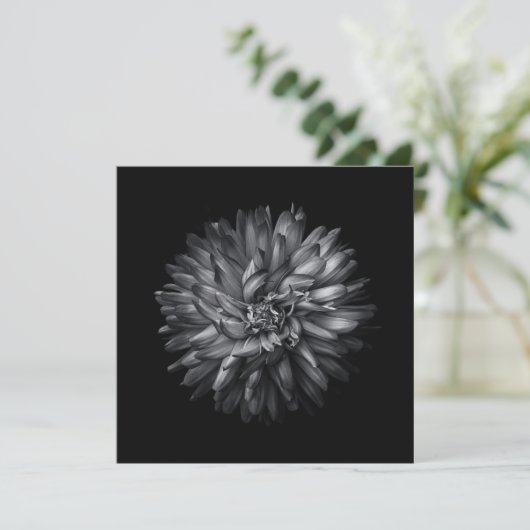 裏庭の花(白黒) 20 (スタンド正面)