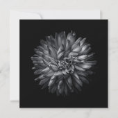 裏庭の花(白黒) 20 (正面)