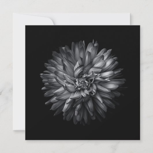 裏庭の花(白黒) 20 (正面)