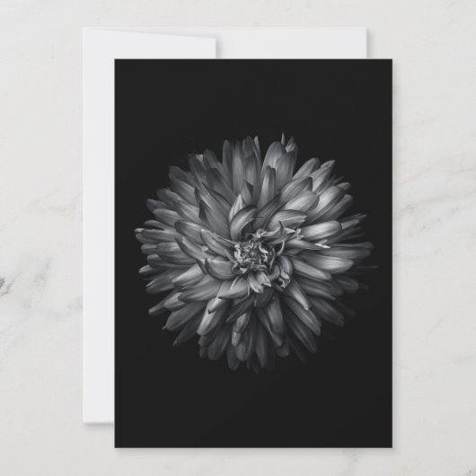 裏庭の花(白黒) 20 (正面)