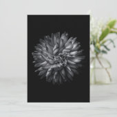 裏庭の花(白黒) 20 (スタンド正面)
