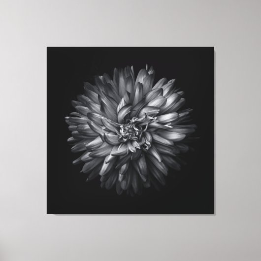 裏庭の花(白黒) 20 キャンバスプリント (正面)
