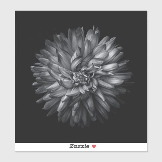 裏庭の花（白黒） 20 シール (シート)