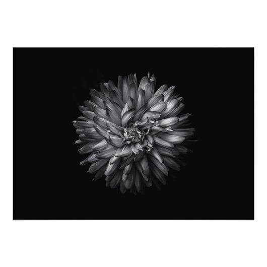 裏庭の花(白黒) 20 フォトプリント (正面)