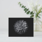 裏庭の花（白黒） 20 ポストカード (スタンド正面)