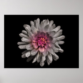 裏庭の花　No.91　カラー版 ポスター