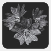 裏庭の花No 11 スクエアシール (正面)