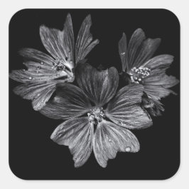 裏庭の花No 11 スクエアシール