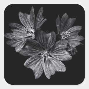 裏庭の花No 11 スクエアシール