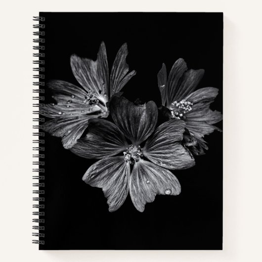 裏庭の花No 11 ノートブック (正面)