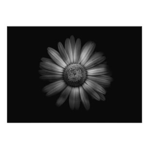 裏庭の花No 31 フォトプリント