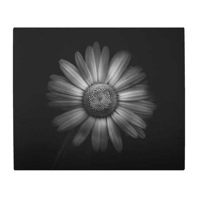 裏庭の花No 31 メタルプリント (正面)