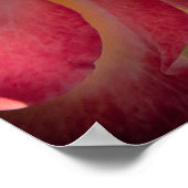 裏庭の花No 40色版 ポスター (角)