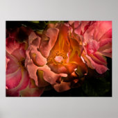 裏庭の花No 40色版 ポスター (正面)