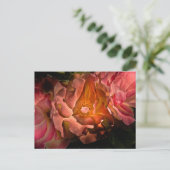 裏庭の花No 40色版 ポストカード (スタンド正面)