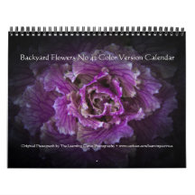 裏庭の花No 42色版