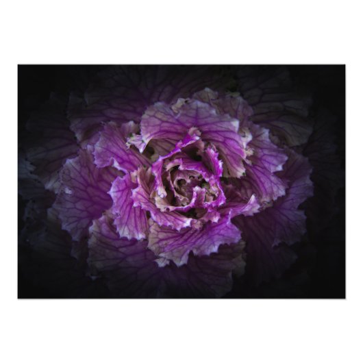 裏庭の花No 42色版 フォトプリント (正面)