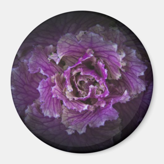 裏庭の花No 42色版 マグネット (正面)