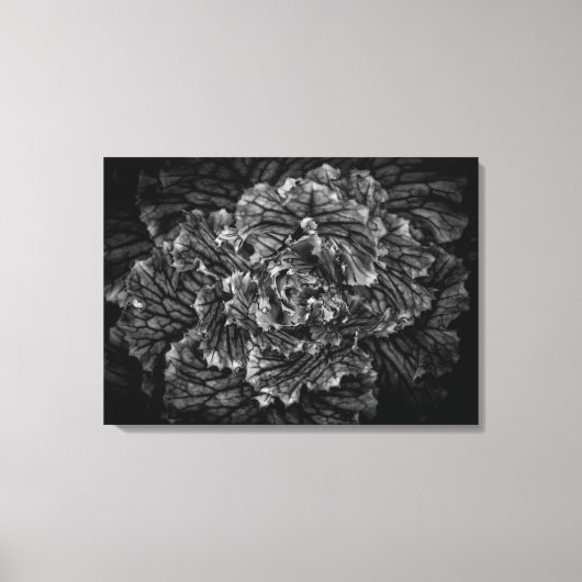 裏庭の花No 42 キャンバスプリント (正面)