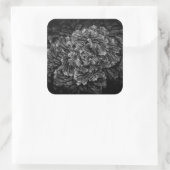 裏庭の花No 42 スクエアシール (バッグ)