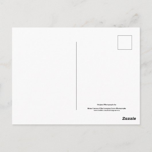 裏庭の花No 42 ポストカード (裏面)