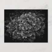 裏庭の花No 42 ポストカード (正面)