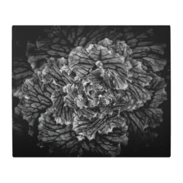 裏庭の花No 42 メタルプリント