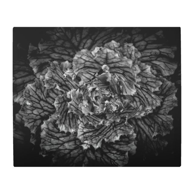 裏庭の花No 42 メタルプリント (正面)