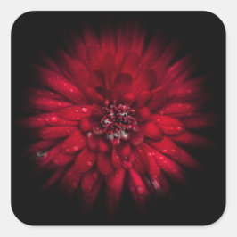 裏庭の花No 45カラーフローバージョン スクエアシール