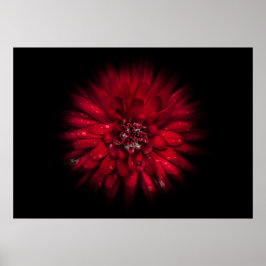 裏庭の花No 45カラーフローバージョン ポスター