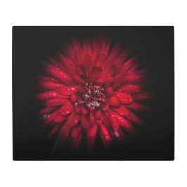 裏庭の花No 45カラーフローバージョン メタルプリント