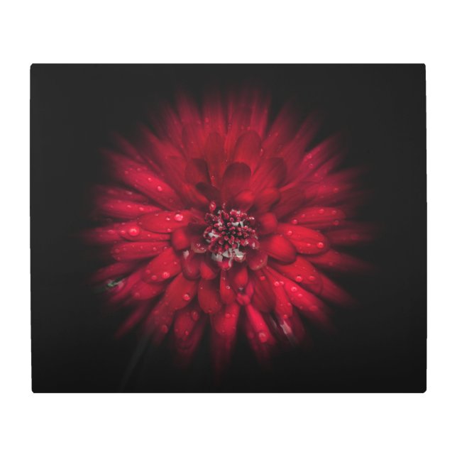 裏庭の花No 45カラーフローバージョン メタルプリント (正面)