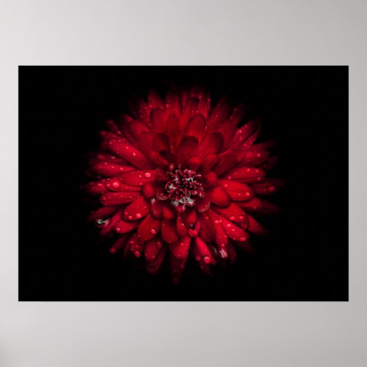 裏庭の花No 45色版 ポスター (正面)