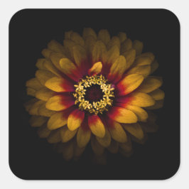 裏庭の花No 69色版 スクエアシール