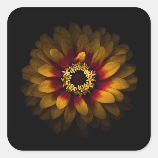 裏庭の花No 69色版 スクエアシール (正面)