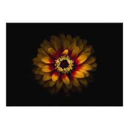 裏庭の花No 69色版 フォトプリント