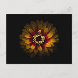 裏庭の花No 69色版 ポストカード