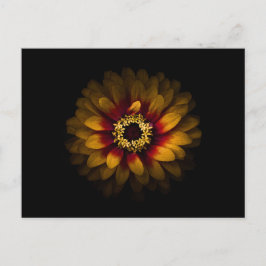 裏庭の花No 69色版 ポストカード