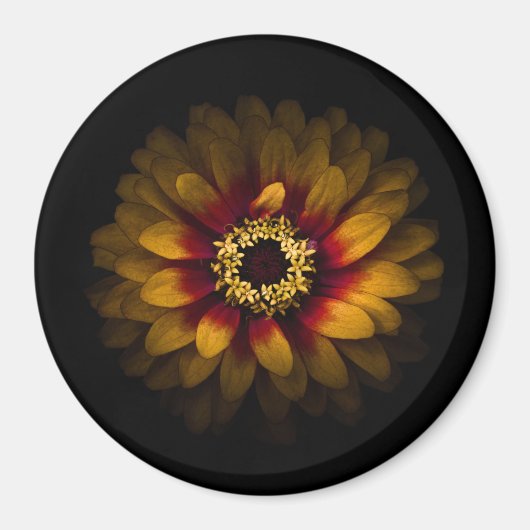 裏庭の花No 69色版 マグネット (正面)