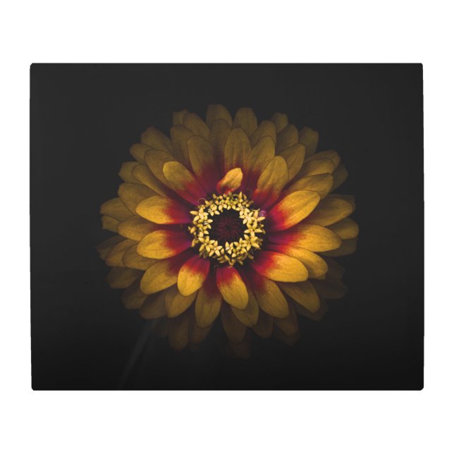 裏庭の花No 69色版 メタルプリント (正面)