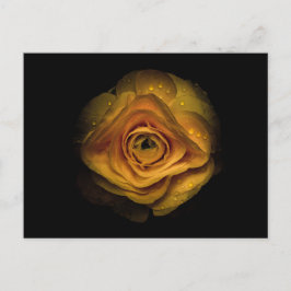 裏庭の花No 74色版 ポストカード