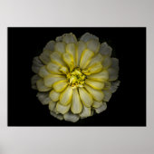 裏庭の花No 86色版 ポスター (正面)