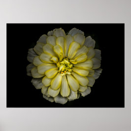 裏庭の花No 86色版 ポスター