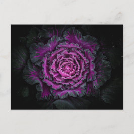 裏庭の花No 99色版 ポストカード